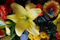 ein Bild aus dem Album