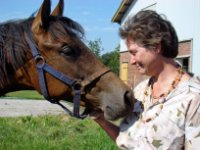 das zu meldende Bild