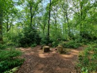 ein Bild aus dem Album