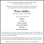 eine Anzeige