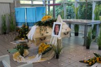 das zu löschende Bild