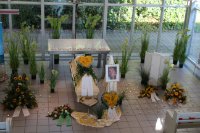 das zu meldende Bild